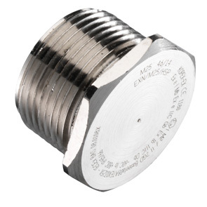 Hex Stopping Blanking Plug 25mm Galv