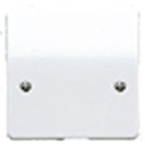 1Gang Moulded Blank Plate